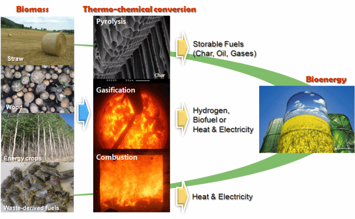 Phd thesis biomass combustion